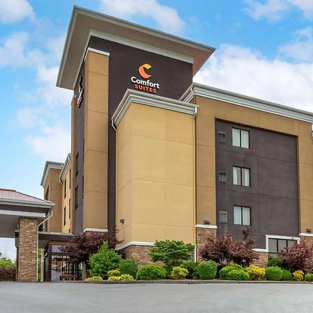 Comfort Suites Kingsport Esterno foto